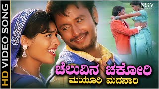 Cheluvina Chakori Mayuri Madanari Video Song  Dhruva Movie  Darshan  Shirin [upl. by Koppel812]