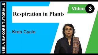 Respiration in Plants  NEET  Kreb Cycle  Neela Bakore Tutorials [upl. by Nnaytsirk262]