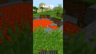 Smallest Bases at Every Age In Minecraft DUBIDUBIDU shorts [upl. by Cower]