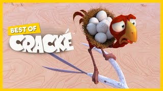 CRACKÉ  SUDDEN BREAK  Cartoon Animation  Compilation [upl. by Hicks]