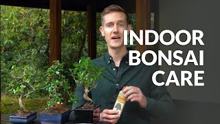 Indoor Bonsai care [upl. by Darbee]