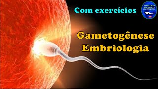 Gametogênese e Embriologia  Exercícios [upl. by Latrina]