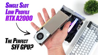 Single Slot Low Profile RTX A2000 The Perfect Small Foot Print GPU [upl. by Hoyt]