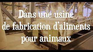 Dans une usine canadienne de fabrication d’aliments pour animaux [upl. by Akinnej]