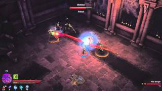 Diablo III  The Coop Mode [upl. by Ilrak]