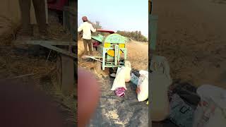 Tibeyan Da putt short video farming short sidhumoosewala trend ingshorts [upl. by Calandria560]