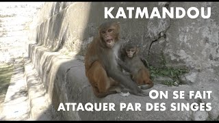 Visite de Katmandou et son temple de singes [upl. by Brunhilde]