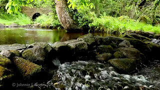 Environmental Ambient Nature Sounds  Relaxing Forest Environment Babbling Brook Water Fall Ambience [upl. by Lachman]