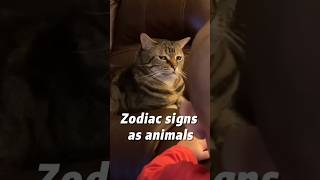 Zodiac signs as animals😂✨ [upl. by Groot]