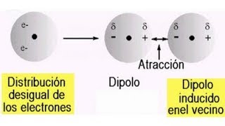 FUERZAS INTERMOLECULARES  KEESOM y LONDON [upl. by Nathanil]