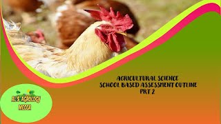 AGRI SCIENCE SBA PRT TWO [upl. by Annoval]