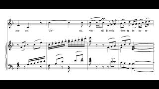 Deh vieni non tardar Le nozze di Figaro  WA Mozart Score Animation [upl. by Ainomar]