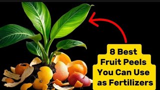 8 Best Fruit Peels You Can Use as Fertilizers [upl. by Lrub507]