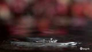 Dripping WaterSlow Motion HD [upl. by Atteras676]