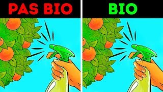 Les Aliments Bio  Régime Sain ou Grand Mythe [upl. by Ilsa]