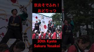 20🌸SAKUYOSA FINALex5th《Kyōen Sodefure ODORITTSU》【第20回京都さくらよさこい 最終審査5組目《京炎そでふれ！おどりっつ》】 [upl. by Eelrahc]