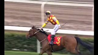 BMW Hong Kong Derby 2014 2014 Derby Special Part 1 [upl. by Caye]