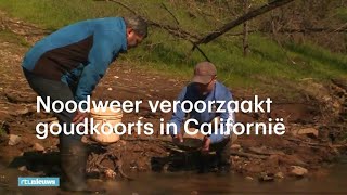 Noodweer veroorzaakt goudkoorts in Californië  RTL NIEUWS [upl. by Marga]