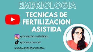 Técnicas de fertilización asistida Embriología humana medicina [upl. by O'Gowan72]