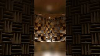 Worlds Quietest Room😯 [upl. by Fanny747]