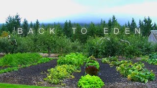 Back to Eden Gardening Documentary Film  Official Trailer [upl. by Ecinuahs583]