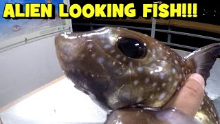 NIGHT TIME FISHING For ALIEN LOOKING FISH Edmonds WA  EP4 [upl. by Azile]