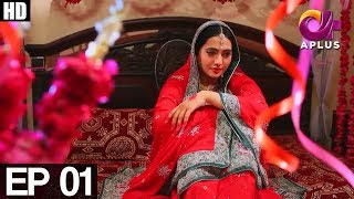 GhareebZaadi Episode 1  Aplus  Top Pakistani Dramas  C2Y1 [upl. by Eednus705]