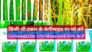 carbendazim 12 Mancozeb 63 WP धान की पत्तियों पर झुलसा रोग एवं खैर रोग को नियंत्रण कैसे करें [upl. by Polito]