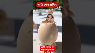 চুট করে ডুকে পড়বো🇧🇩✌️bangladesh shortvideo everyone politics [upl. by Caasi515]