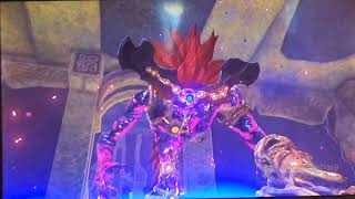 Zelda Breath of the Wild Waterblight Ganon Third Boss No Damage [upl. by Airbas]