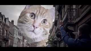 Catzilla  Trailer Parody of Godzilla HD [upl. by Nowd353]