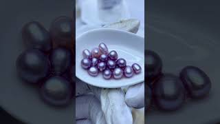 Discover the Unique Beauty of Purple Freshwater Akoya Pearls  High Luster amp Elegance [upl. by Inoliel383]