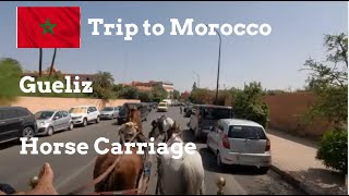 Walk around Marrakech Hivernage to Gueliz and horse carriage [upl. by Rodl]