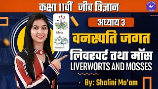 लिवरवर्ट तथा मॉस L 4  वनस्पति जगत  Class 11th Biology Chapter 3 by Shalini Maam [upl. by Byrd]