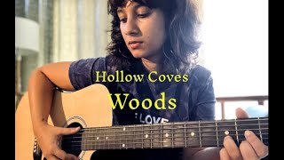 Hollow Coves Woods Guitar Cover [upl. by Brittaney514]