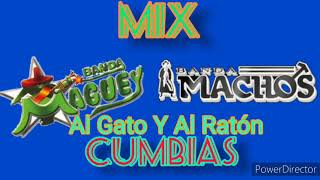 BANDA MACHOS VS BANDA MAGUEY MIX CUMBIAS [upl. by Lareneg]