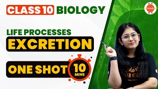 Excretion in Human Beings One Shot in 10 Mins  Life Processes Class 10 Science Biology CBSE2024 [upl. by Legin959]