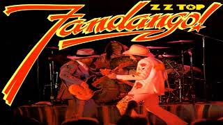 ZZ Top  Tush Guitar Backing Track woriginal vocals multitrack [upl. by Adelia]