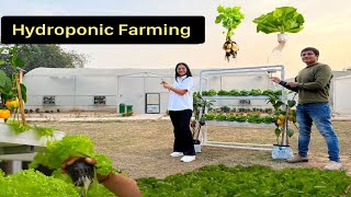 बिना मिट्टी हाइड्रोपोनिक खेती  Hydroponic Farming Economics  Vertical Farming  Hello Kisaan [upl. by Eiruam]