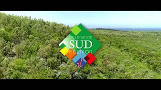 Trésor du Sud  La forêt de L’ÉtangSalé la coulée verte Île de la Réunion [upl. by Erlinna]