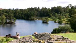 Tarn Hows Lake District [upl. by Eastlake]