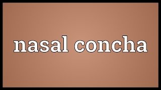 Nasal concha Meaning [upl. by Assenal836]