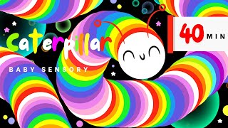 Colorful Caterpillar With Bubbles Sensory Videos for Babies Hight Contrast Eye Tracking  Fun Music [upl. by Enilrad]