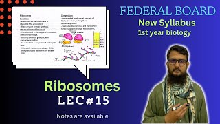 Ribosomes  Ribosomes structure and function  class 11 [upl. by Ytsenoh]