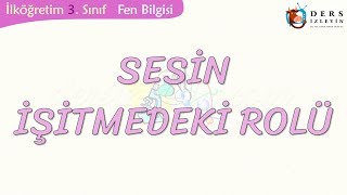 SESİN İŞİTMEDEKİ ROLÜ [upl. by Yddeg]