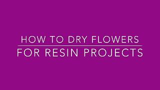 How to dry flowers [upl. by Krause]