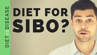 What Is SIBO and Does Diet Matter [upl. by Cointon272]