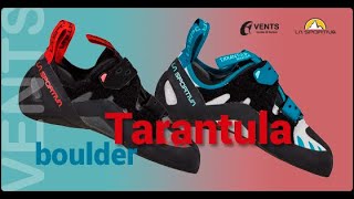 Tarantula Boulder  La Sportiva almost 1 year review [upl. by Teerell]