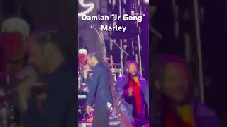 Damian quotJr Gongquot Marley ft Stephen quotRaggaquot Marley  quotPimpas Paradisequot  LIVE [upl. by Juana]