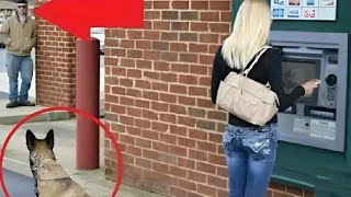 The Thief Approached Her While She Was Withdrawing Money Then Her Dog Did Something Amazing [upl. by Avlem915]